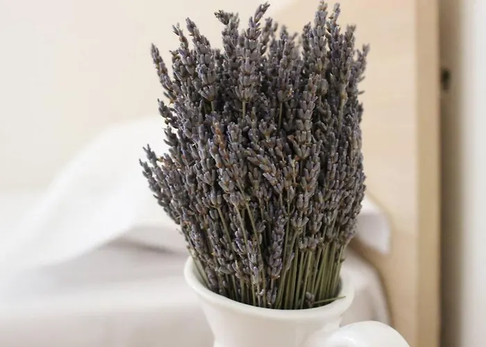 Lavandula Ring