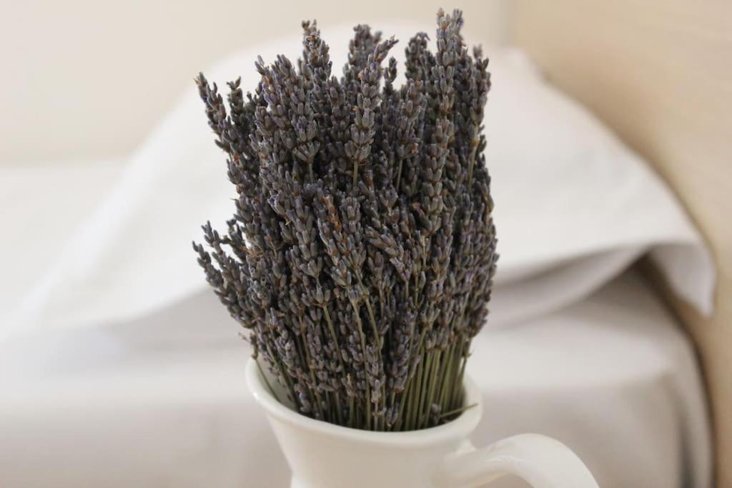 Apartment Lavandula Ring *