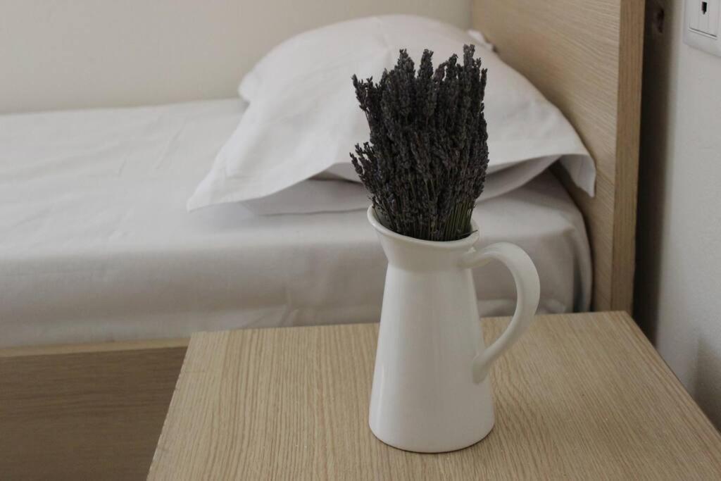 Lavandula Ring Tirana